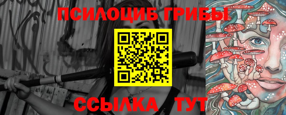 Псилоцибиновые грибы Cubensis Алушта