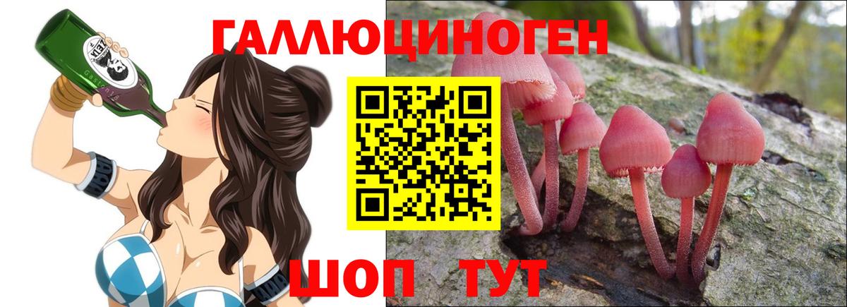 как найти закладки  Псилоцибиновые грибы мицелий  Вход с VPN  Алушта 